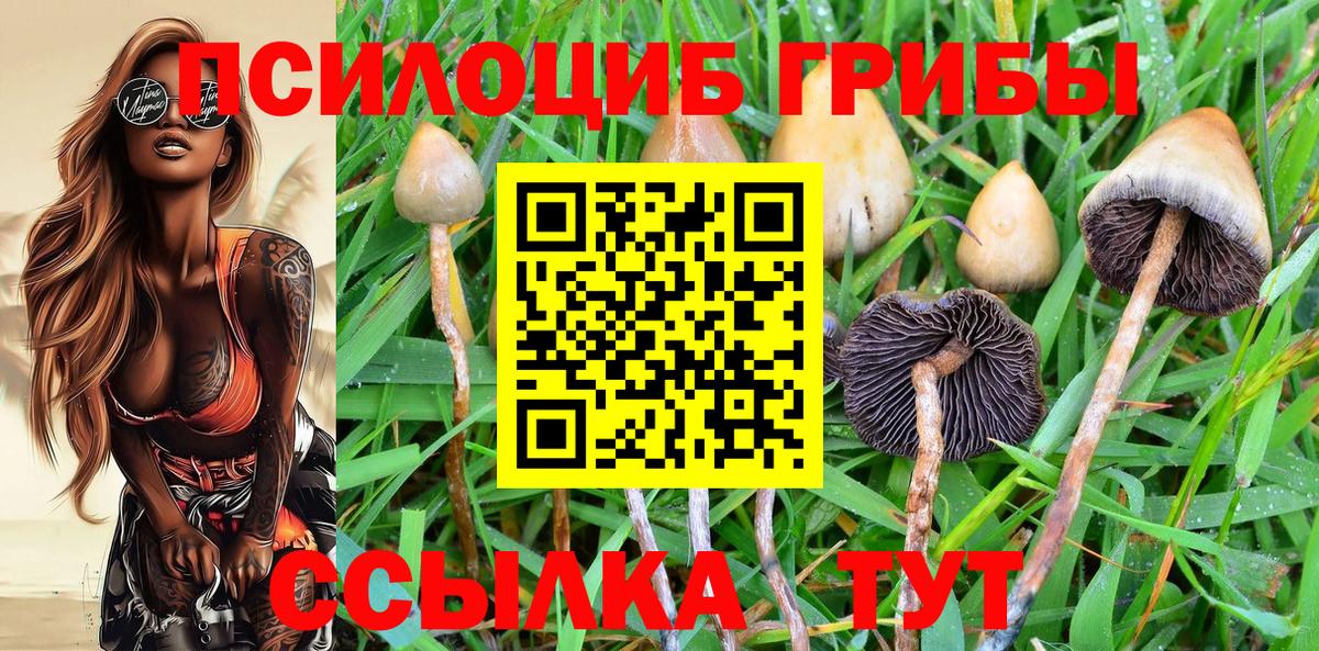 Галлюциногенные грибы мухоморы Иваново
