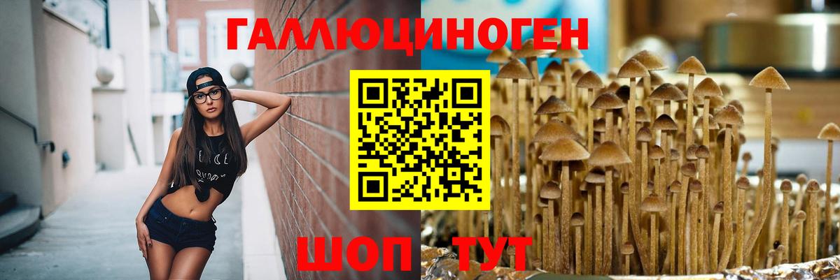 Галлюциногенные грибы прущие грибы  Вход с VPN  Иваново 